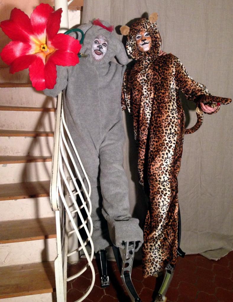 feline et frisette