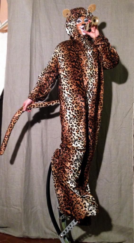 feline la panthère 2