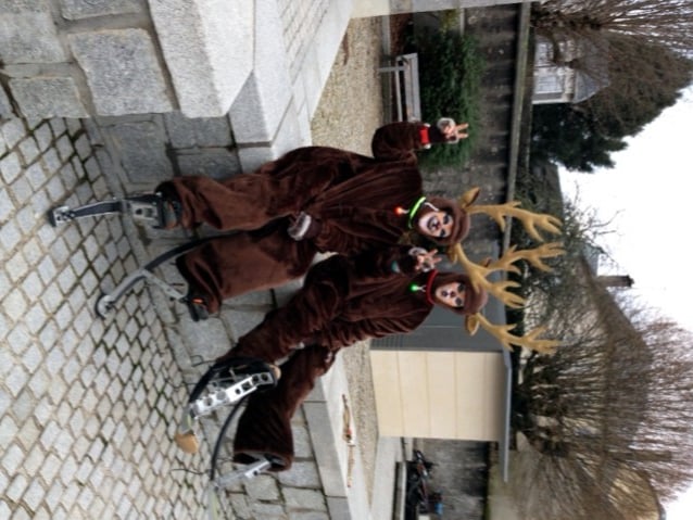 les rennes 2